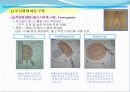 가구 자재와 가공 그리고 안전개요.ppt 9페이지