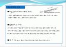 가구 자재와 가공 그리고 안전개요.ppt 12페이지
