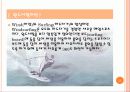 윈드서핑(Windsurfing) 장비와 기능숙달요령.ppt 3페이지