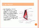 윈드서핑(Windsurfing) 장비와 기능숙달요령.ppt 4페이지