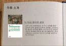 치누아 4페이지