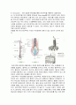 현미경 사용법 머리카락 2페이지