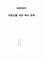 미혼모정책 - 미혼모를 위한 복지정책 실태와 대안 1페이지