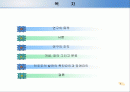 제3세계에 민주주의에 관한 비교연구 2페이지