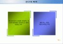 제3세계에 민주주의에 관한 비교연구 3페이지