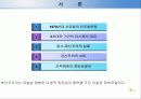 제3세계에 민주주의에 관한 비교연구 4페이지