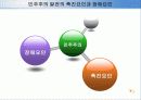 제3세계에 민주주의에 관한 비교연구 9페이지