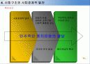 제3세계에 민주주의에 관한 비교연구 13페이지
