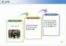 제3세계에 민주주의에 관한 비교연구 28페이지