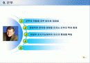 제3세계에 민주주의에 관한 비교연구 29페이지