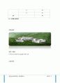 춘천실버타운 5페이지
