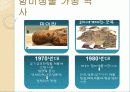 방미가공 5페이지