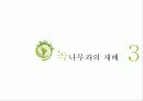 상록혁질활엽수녹나무과 10페이지