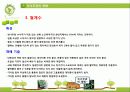상록혁질활엽수녹나무과 13페이지