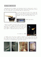 건축가 필립 스탁 (Philippe Starck) 5페이지