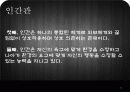 일반체계이론.PPT 12페이지