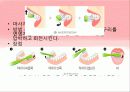 [예방치학] 올바른 칫솔질.ppt 7페이지