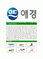 [애경그룹-유통부문합격자기소개서]애경자기소개서,애경그룹합격자기소개서,애경자소서,애경합격자소서,애경그룹자기소개서,자소서,이력서,입사지원서 5페이지