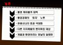 관광개발통영케이블카 24페이지