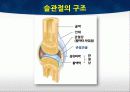 TKA ppt 15페이지