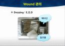 TKA ppt 44페이지