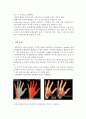 CTS : Carpal tunnel syndrome 수근관 증후군 3페이지