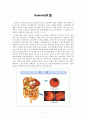 Gastritis(위염) 1페이지