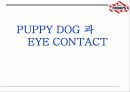 [A+] TGI Friday`s의 고객응대 순서 및 puppy dog과 eye contact 조사보고서  퍼피독  아이컨택  아이콘택  패밀리레스토랑  주문받기  고객만족  서비스사례  외식서비스 10페이지