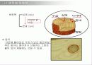 자재의 이해.ppt 12페이지