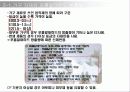 자재의 이해.ppt 17페이지