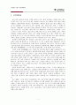 스물일곱의 분단문화 - 경험적이고 주관적인 개인에의 관점  2페이지