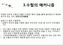 식민지,수탈론,마케팅,브랜드,브랜드마케팅,기업,서비스마케팅,글로벌,경영,시장,사례,swot,stp,4p 11페이지