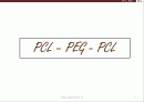 pcl-peg-pcl 1페이지