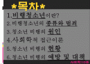 [사회학] 비행 청소년.PPT자료 2페이지