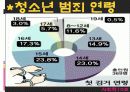 [사회학] 비행 청소년.PPT자료 20페이지