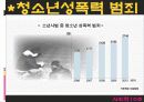 [사회학] 비행 청소년.PPT자료 21페이지