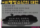 [사회학] 비행 청소년.PPT자료 24페이지