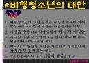 [사회학] 비행 청소년.PPT자료 26페이지
