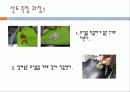 식품의_산도와_전분_분석 4페이지