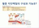 식품과_건강_전반기_수업_review_최종 20페이지