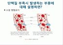 식품과_건강_전반기_수업_review_최종 25페이지