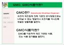 gmo 식품 정말 안전 한가 4페이지