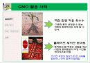 gmo 식품 정말 안전 한가 10페이지