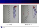 영양학 - 04 지질.ppt 10페이지