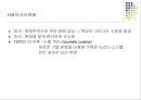 푸드코디 - 01 서양의 식사문화 3페이지