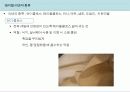 [푸드코디] Chapter 4-1 서양 테이블 데커레이션 - 테이블 데커레이션 아이템.ppt 16페이지