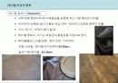 [푸드코디] Chapter 4-1 서양 테이블 데커레이션 - 테이블 데커레이션 아이템.ppt 17페이지