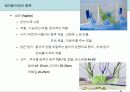 [푸드코디] Chapter 4-1 서양 테이블 데커레이션 - 테이블 데커레이션 아이템.ppt 23페이지