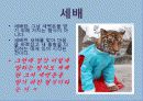 관광학과-우리문화의 이해(명절) 6페이지