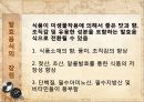칼피스 제조(칼피스 만들기).ppt 5페이지